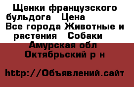 Щенки французского бульдога › Цена ­ 30 000 - Все города Животные и растения » Собаки   . Амурская обл.,Октябрьский р-н